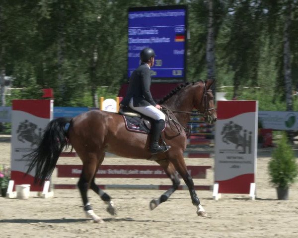 Reitturnier Schwerte-Gut Kückshausen 2019