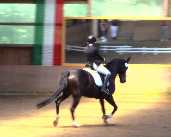 Reitturnier Schwerte-Gut Kückshausen 2019