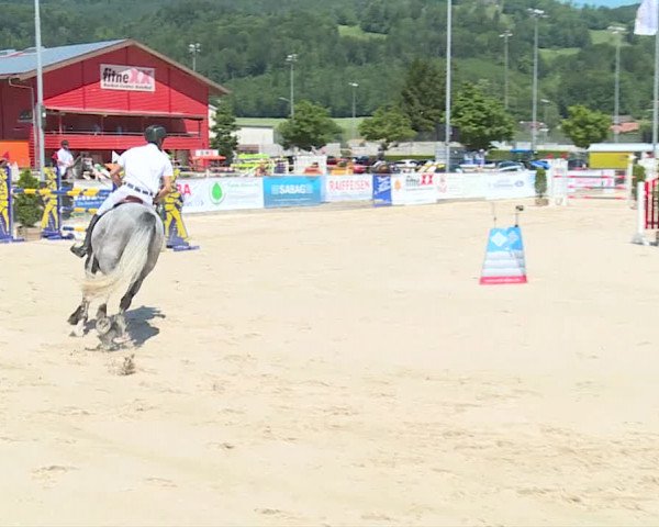 Reitturnier Balsthal 2019