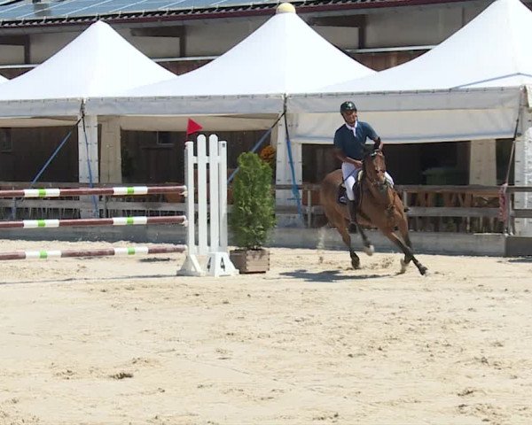 Reitturnier Balsthal 2019