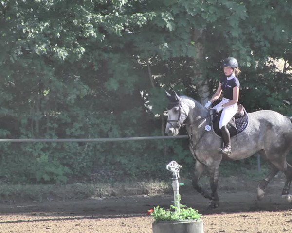 Reitturnier Wiesloch 2019