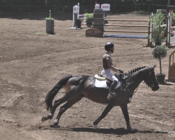 Reitturnier Wiesloch 2019