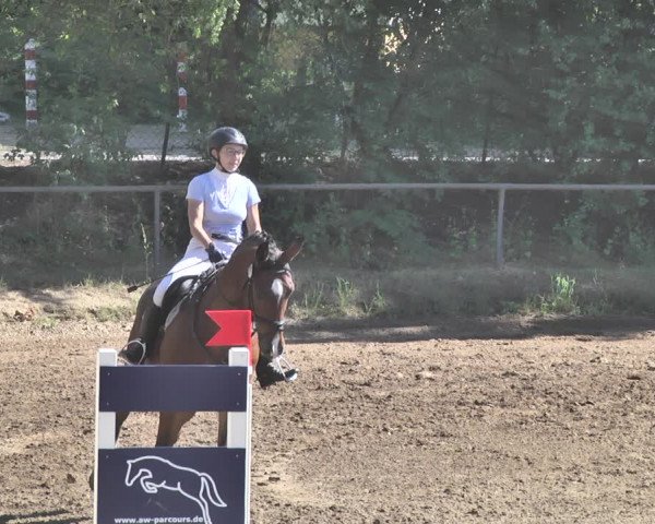 Reitturnier Wiesloch 2019