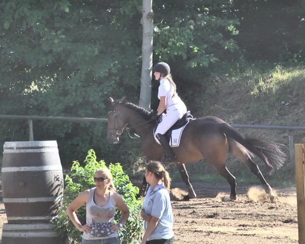 Reitturnier Wiesloch 2019