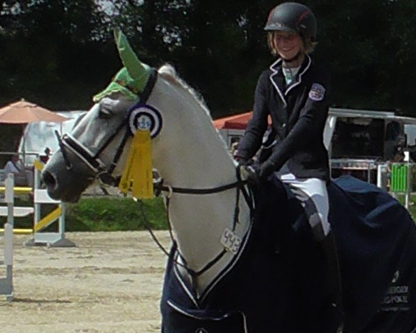 jumper Taktyk (Polish Warmblood, 1997, from Fallon)