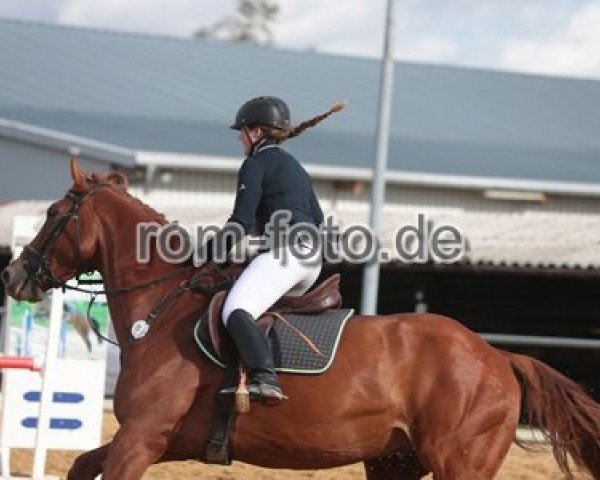 jumper Condor 602 (Württemberger, 2010, from Condeur)
