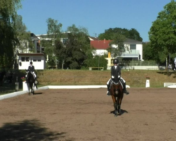 Reitturnier Wiesloch 2019