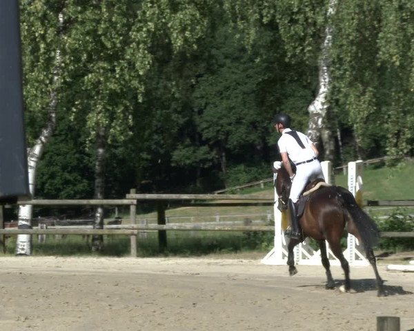 Reitturnier Schwerte-Gut Kückshausen 2019