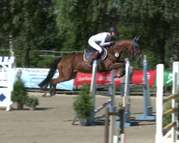 Reitturnier Schwerte-Gut Kückshausen 2019