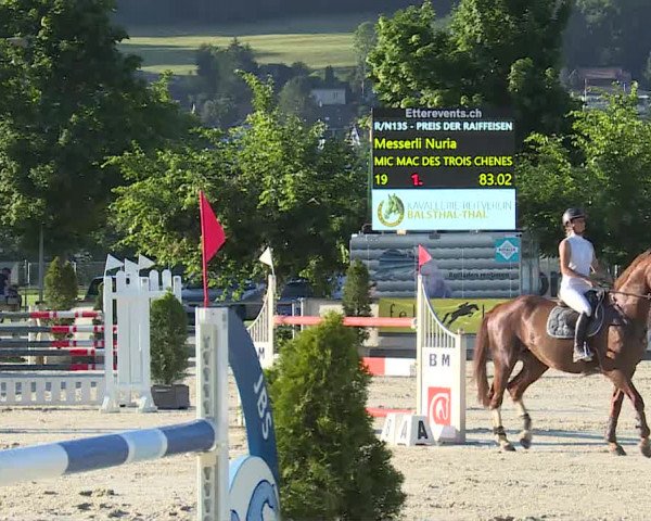 Reitturnier Balsthal 2019