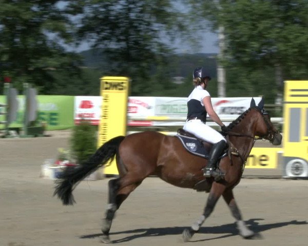 Reitturnier Schwerte-Gut Kückshausen 2019