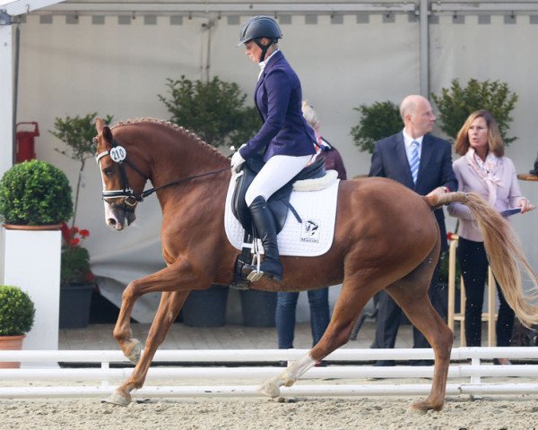 broodmare Charleen 40 (German Riding Pony, 2012, from Coolmen)