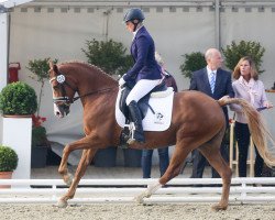 broodmare Charleen 40 (German Riding Pony, 2012, from Coolmen)