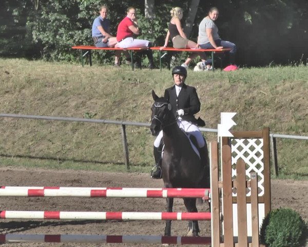 Reitturnier Wiesloch 2019