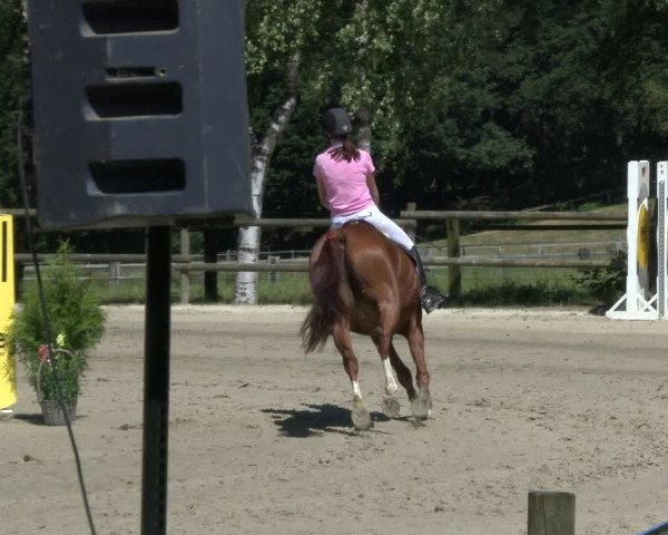 Reitturnier Schwerte-Gut Kückshausen 2019