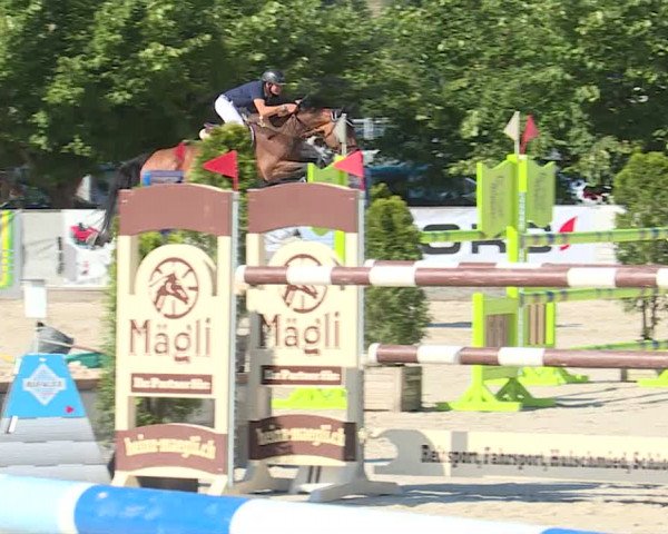 Reitturnier Balsthal 2019