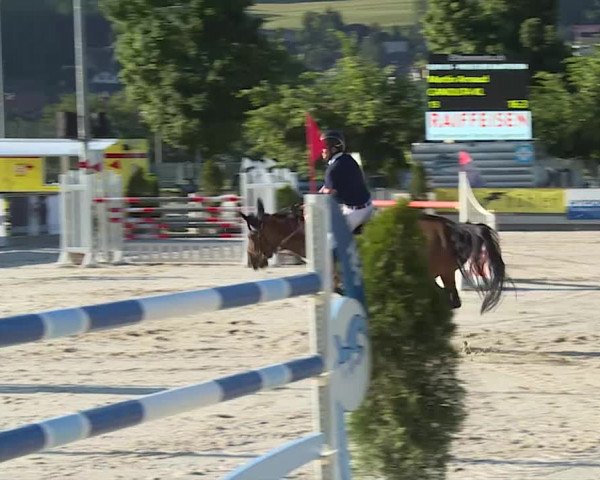 Reitturnier Balsthal 2019