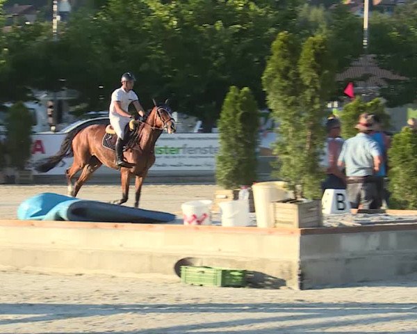Reitturnier Balsthal 2019