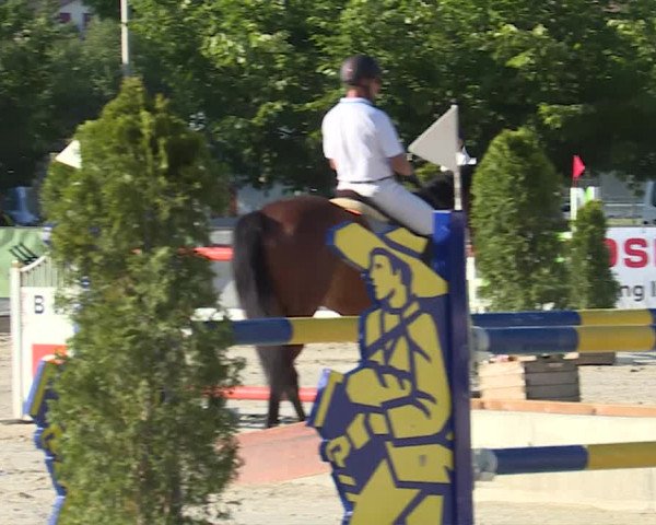 Reitturnier Balsthal 2019