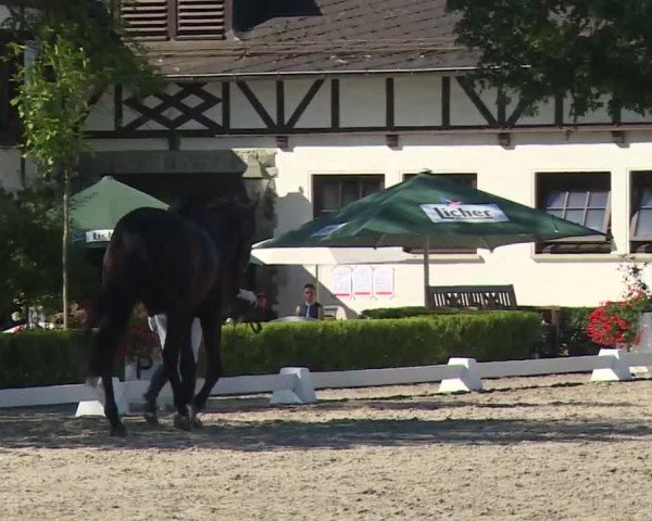 Reitturnier Kronberg /Schafhof 2019