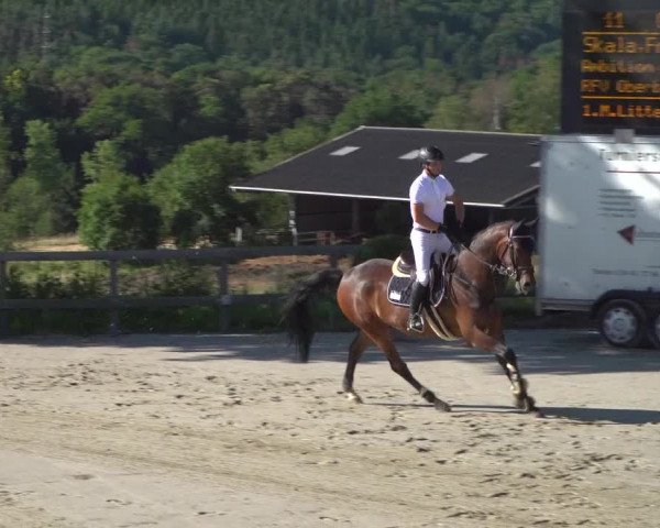 Reitturnier Kalenborn Hegehof 2019