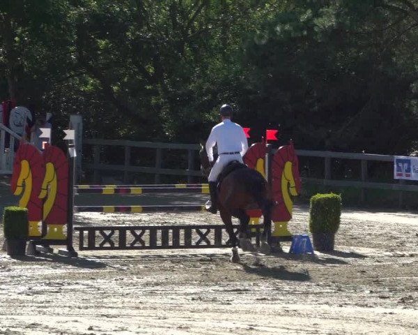 Reitturnier Kalenborn Hegehof 2019