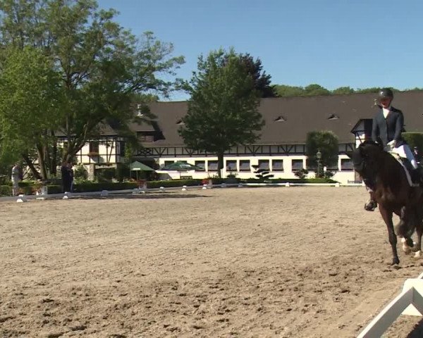 Reitturnier Kronberg /Schafhof 2019