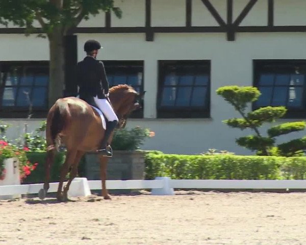 Reitturnier Kronberg /Schafhof 2019
