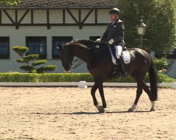 Reitturnier Kronberg /Schafhof 2019