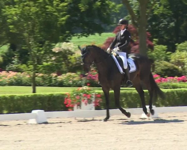 Reitturnier Kronberg /Schafhof 2019