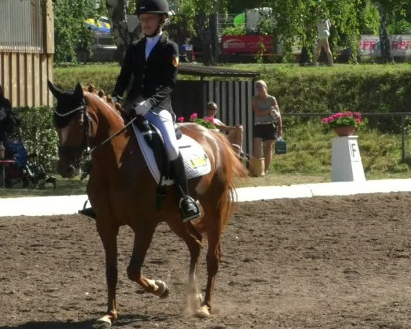 Reitturnier Wiesloch 2019