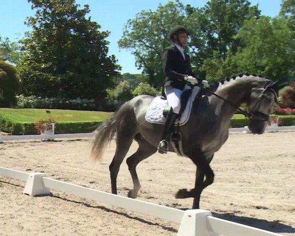 Reitturnier Kronberg /Schafhof 2019