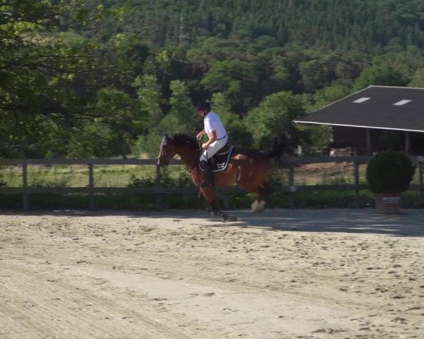 Reitturnier Kalenborn Hegehof 2019