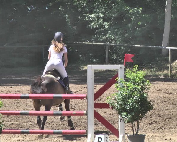 Reitturnier Wiesloch 2019