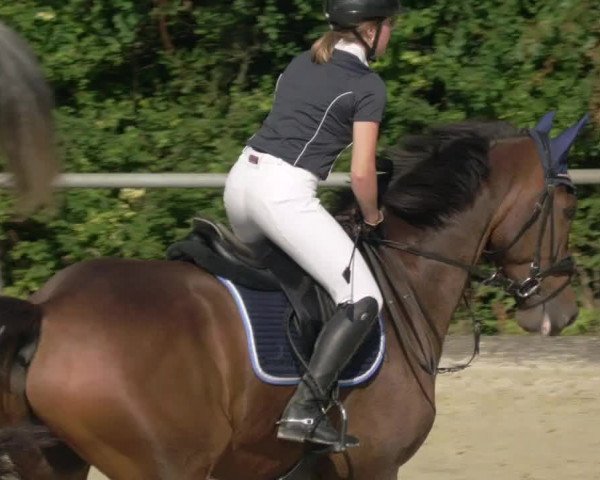 Reitturnier Leingarten 2021