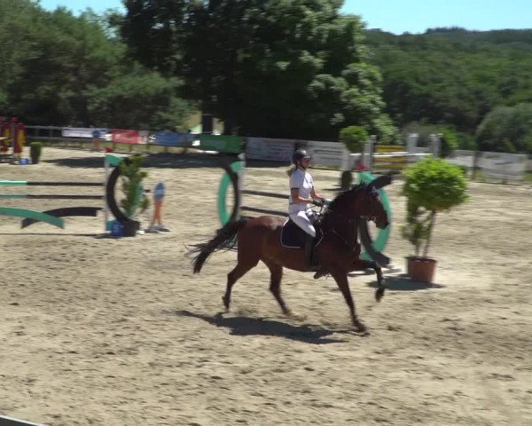 Reitturnier Kalenborn Hegehof 2019