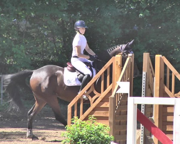 Reitturnier Wiesloch 2019