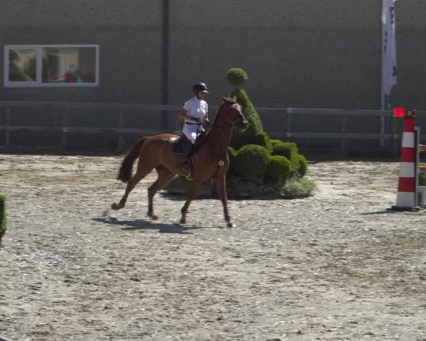 Reitturnier Kalenborn Hegehof 2019