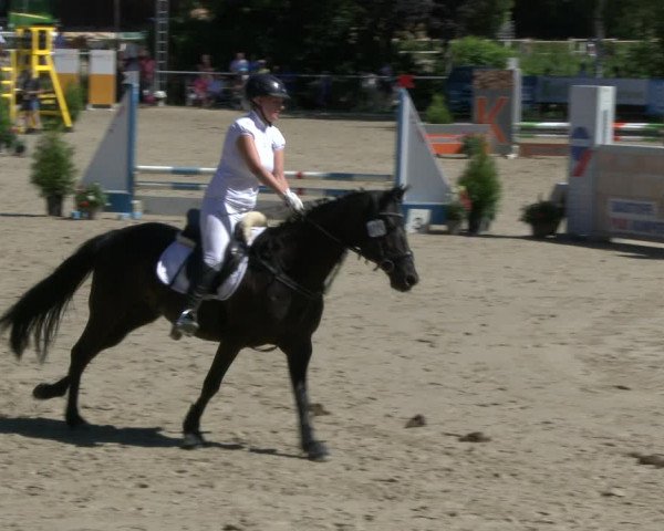 Reitturnier Schwerte-Gut Kückshausen 2019