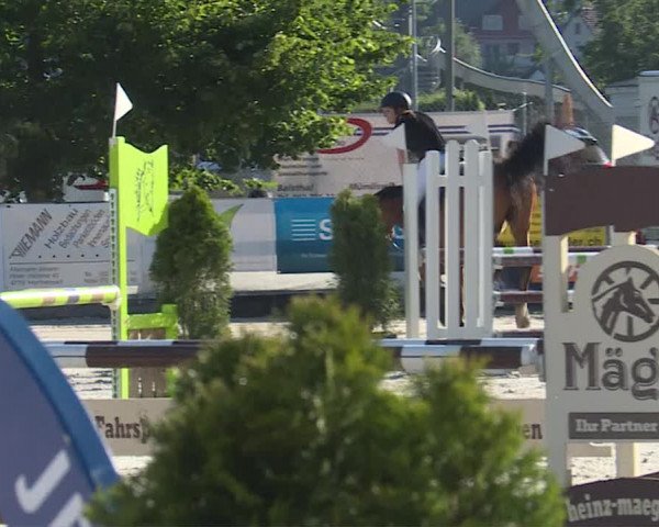 Reitturnier Balsthal 2019