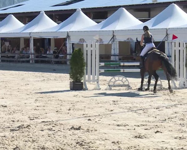Reitturnier Balsthal 2019