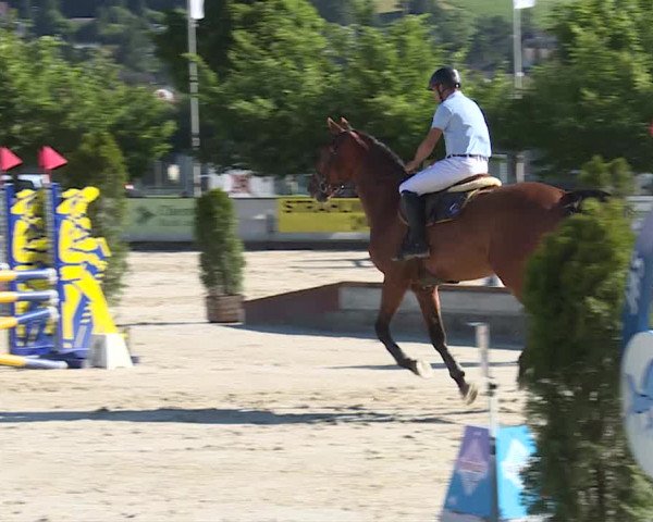 Reitturnier Balsthal 2019