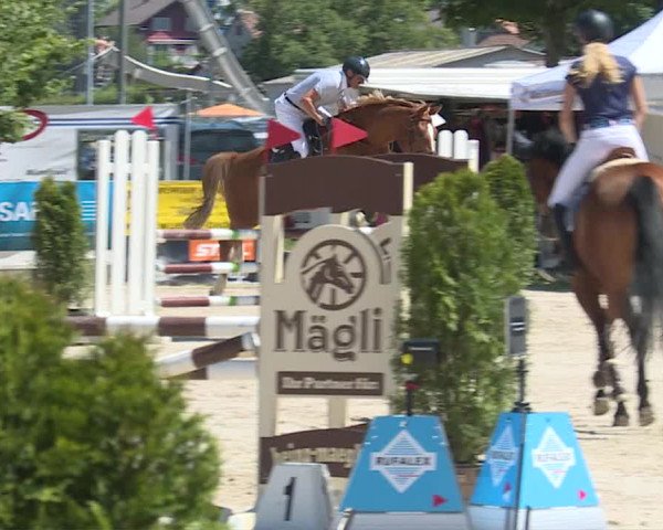Reitturnier Balsthal 2019