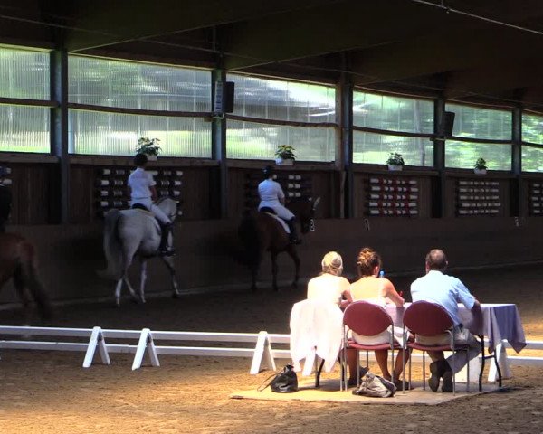 Reitturnier Schwerte-Gut Kückshausen 2019