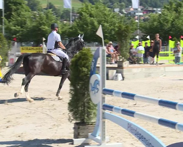 Reitturnier Balsthal 2019