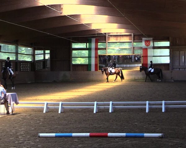 Reitturnier Schwerte-Gut Kückshausen 2019