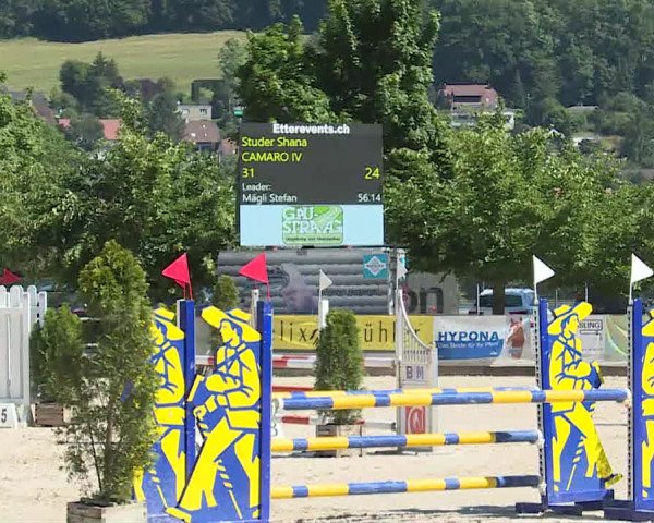 Reitturnier Balsthal 2019