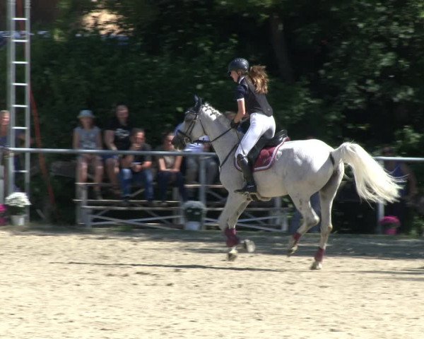 Reitturnier Schwerte-Gut Kückshausen 2019