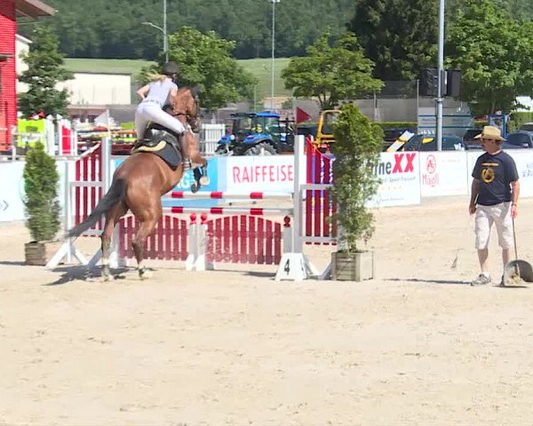 Reitturnier Balsthal 2019