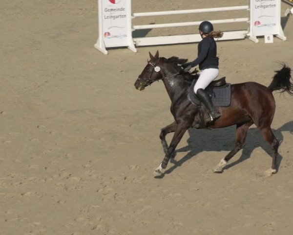 Reitturnier Leingarten 2021